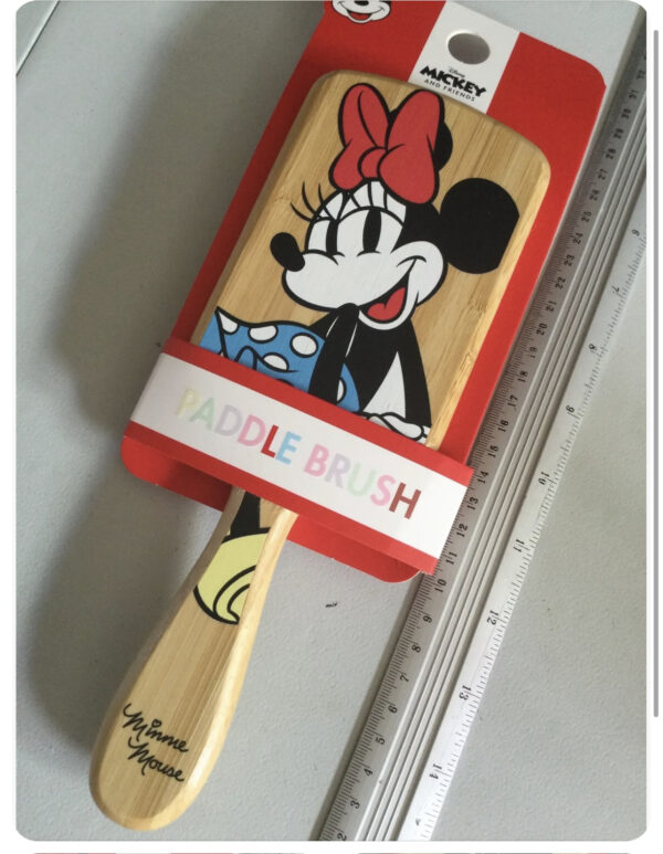 Minnie Mouse brush