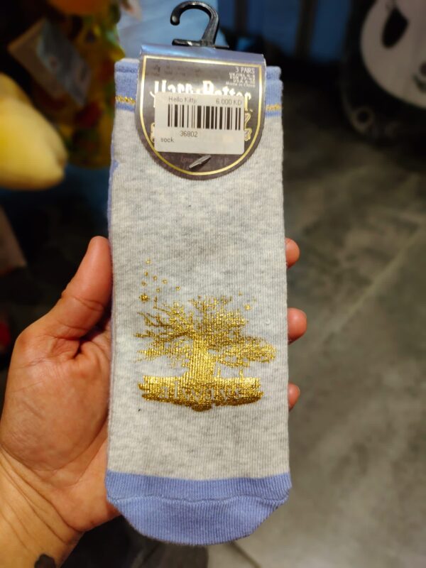 Harry Potter socks set